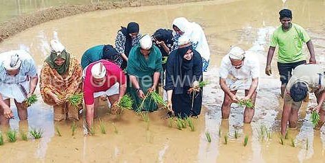 paddy-valiyakunnu-2024