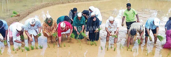 paddy-valiyakunnu-2024