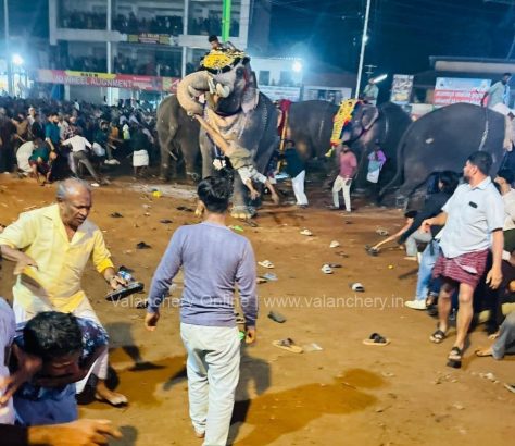 pakkath-sreekuttan-elephant