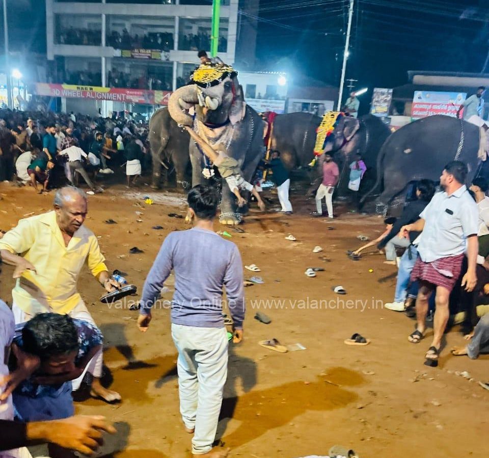 pakkath-sreekuttan-elephant